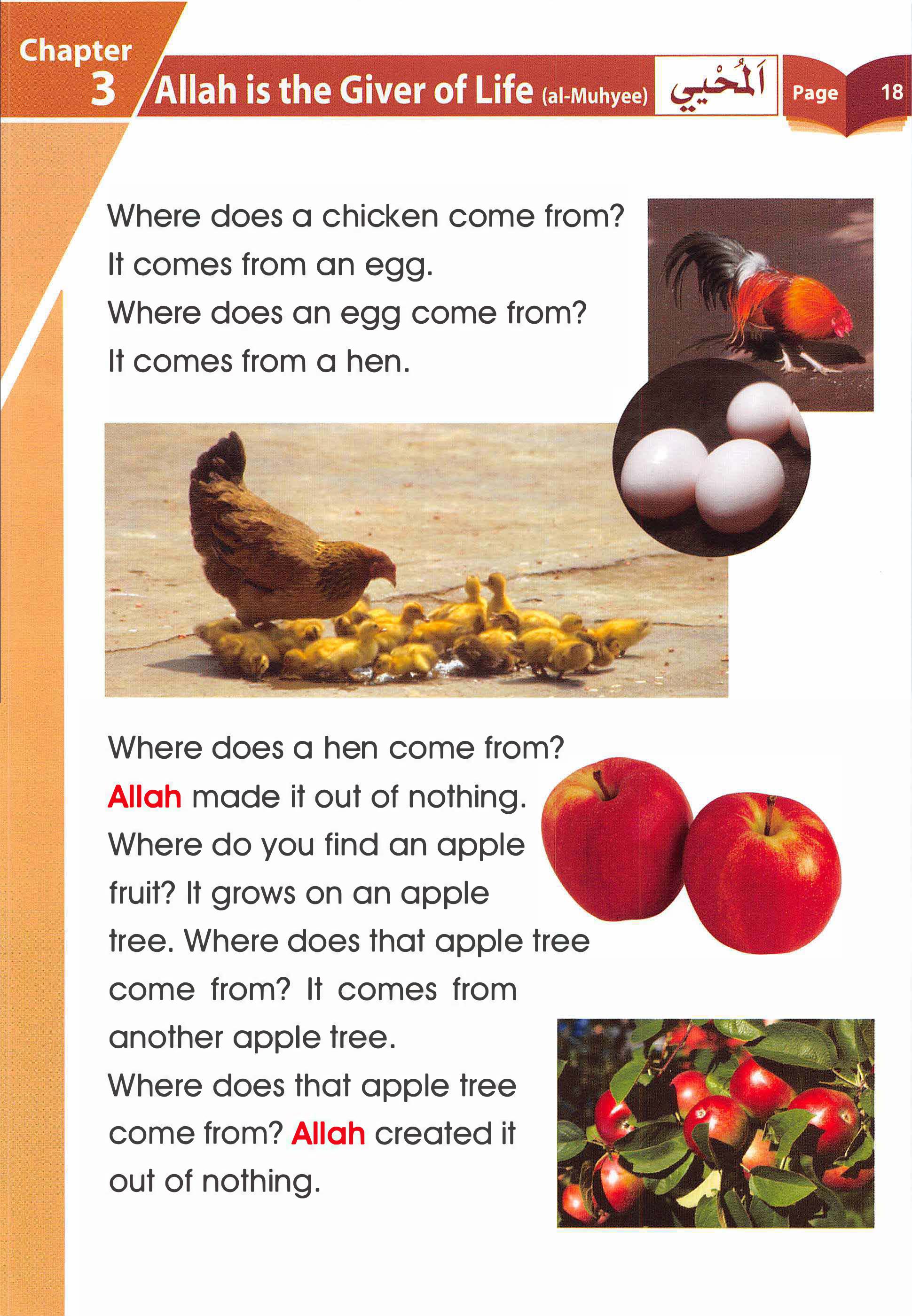 Islamic Studies Grade 01 - Page 13