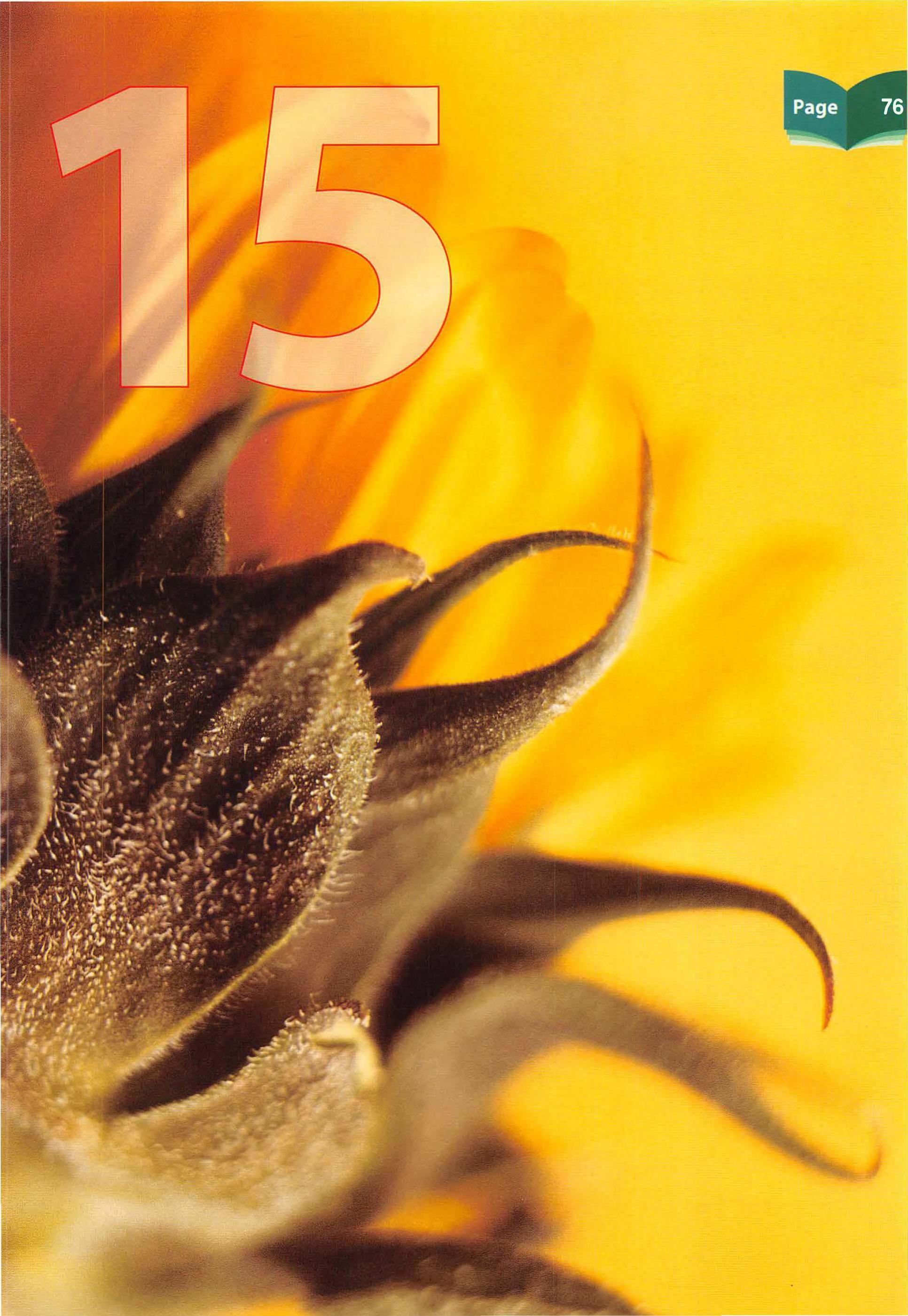 Islamic Studies Grade 01 - Page 71