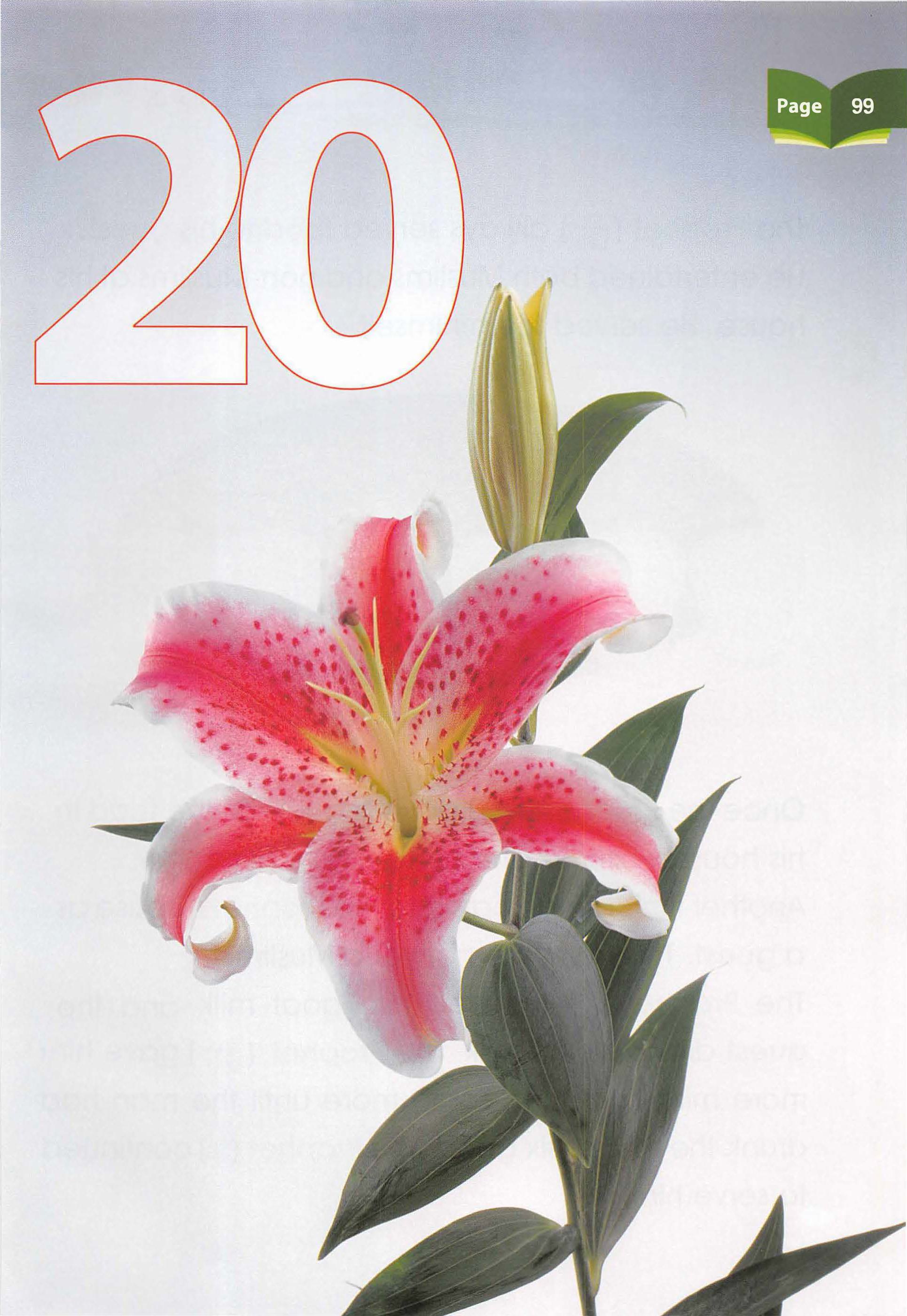 Islamic Studies Grade 01 - Page 94